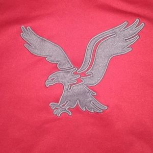 Red and Gray American Eagle Outfitters Hoodie  S